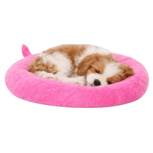 Pink Bed