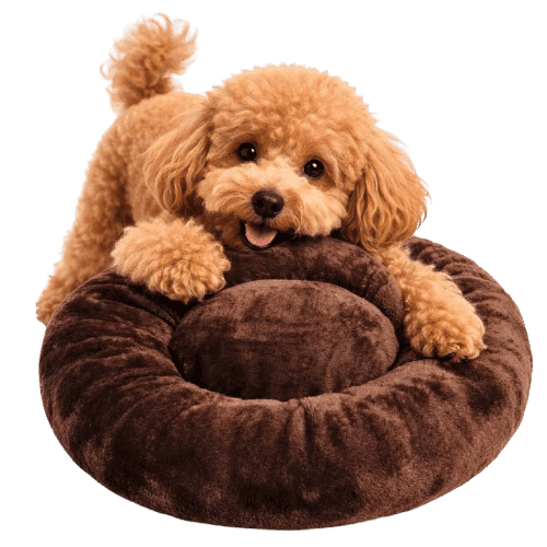 Dark Brown Bed