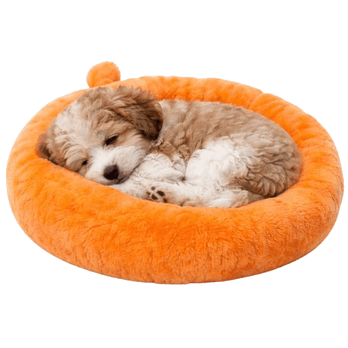 Orange Bed