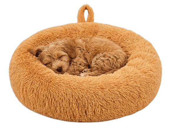 Light Brown Bed