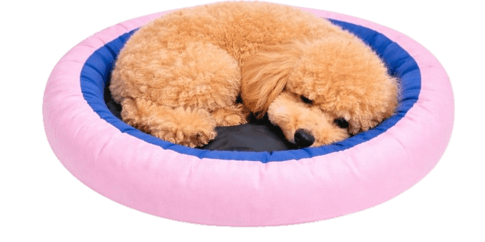 Pastel Pink,Deep blue Bed