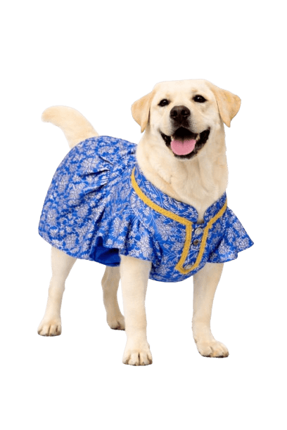 Blue Kurta