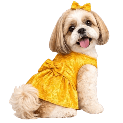 Yellow Frock