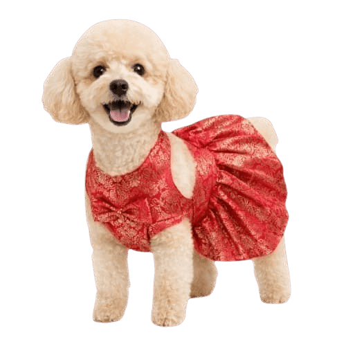 Red Frock