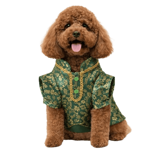 Green Kurta