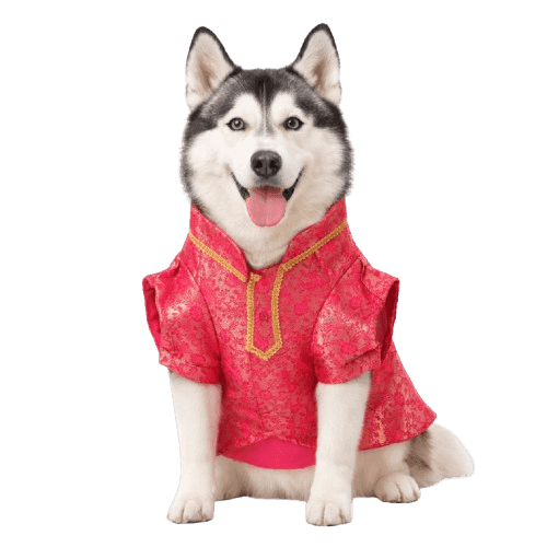 Red Kurta