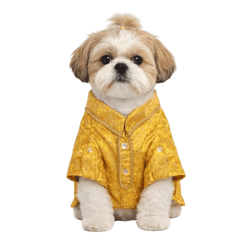 Yellow Kurta