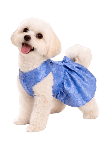 Blue Frock