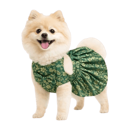 Green Frock
