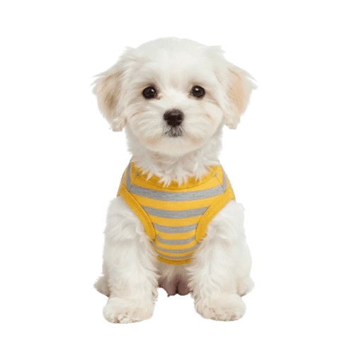 Yellow Summer Wear T-shirt