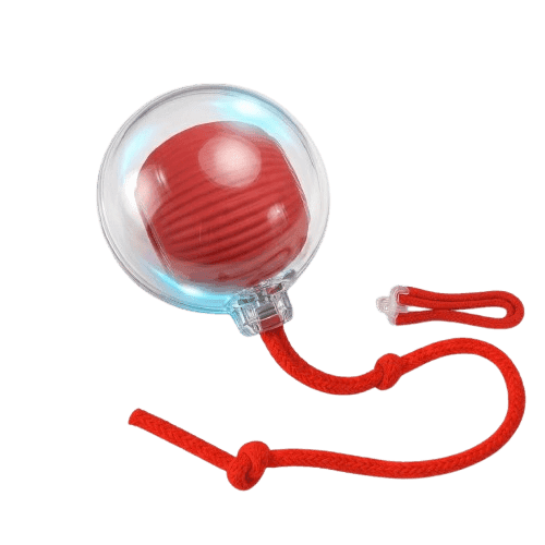 Dog and Cat Interactive Ball