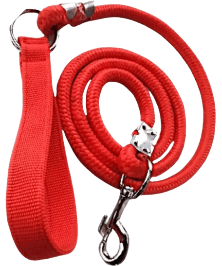 Nylon Leash (Red Colour) Crafted