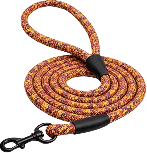 Yellow Red Toned Nylon Leash
