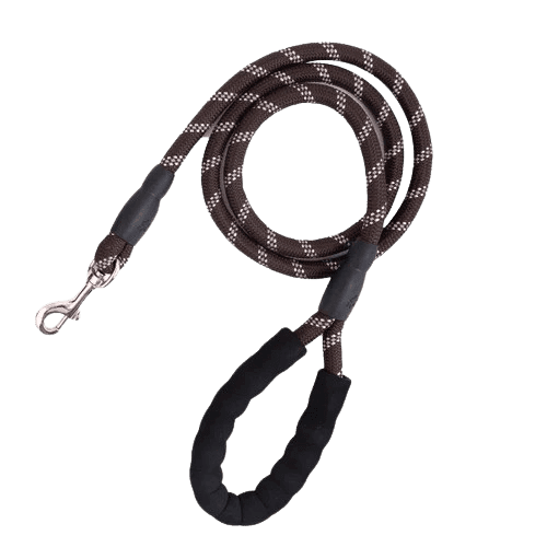 Brown Reflective Nylon Leash