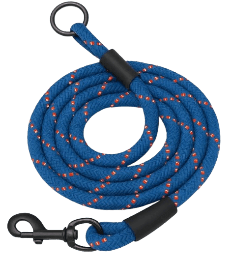Violet Reflective Nylon leash