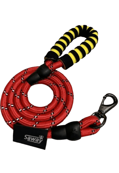 Red Colour Nylon leash