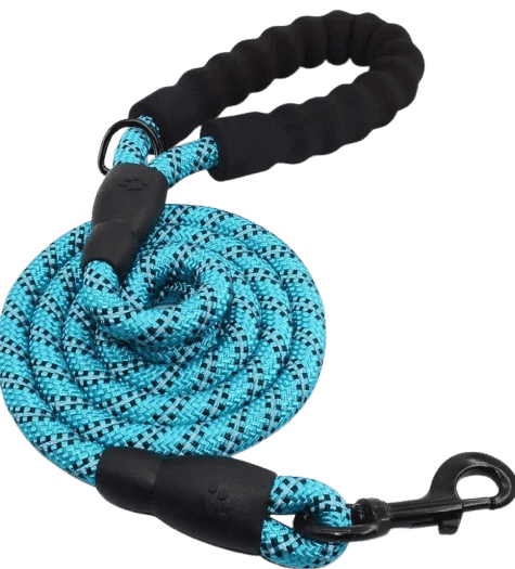 Blue Colour Reflective Nylon leash