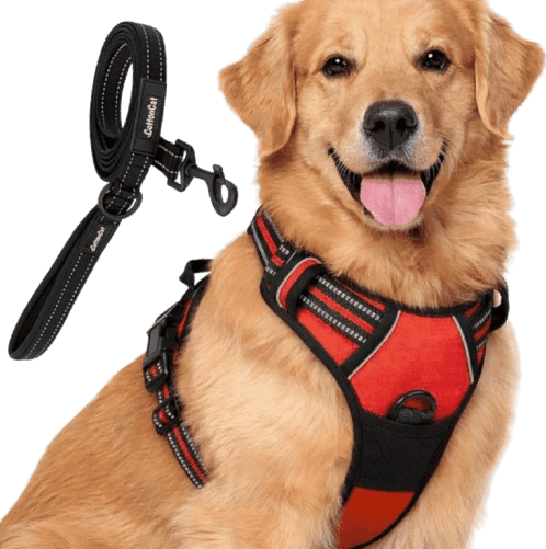 Red Colour Body Harness+Leash