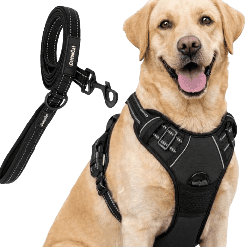 Black Colour Body Harness