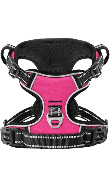 Pink Colour Body Harness