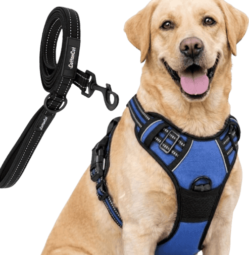 Blue Colour Body Harness