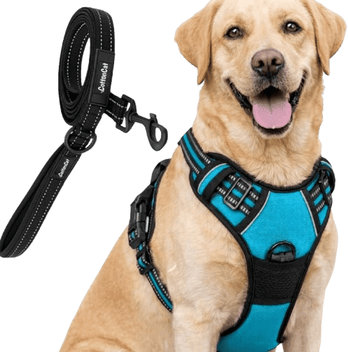 Tale Blue Body Harness