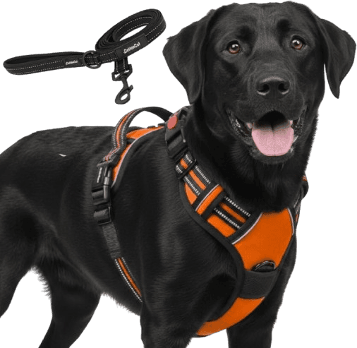 Orange Colour Body Harness for Dog