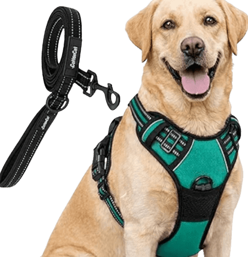 Deep Green body Harness for Dog